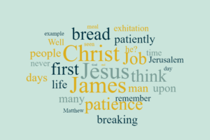 Lessons from the Lord's brother James