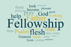 Pleasure of Fellowship