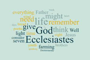 Ecclesiastes 11