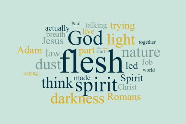 The Spirit is Willing but the Flesh is Weak