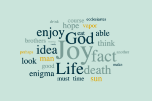Ecclesiastes - A Beginners Guide to Joy