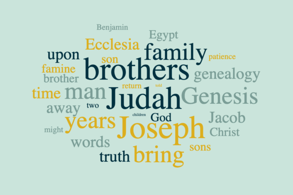 The Genealogy of our Lord