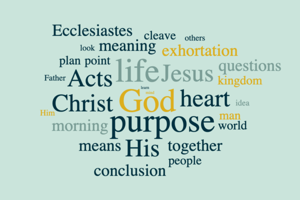 The Value of Biblical Purpose