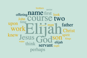 Elisha - Portrait of a Saviour