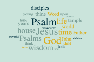 Psalms - The 5th Gospel