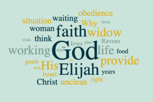Obedience Through Faith