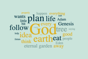 God's Plan for You and the Earth
