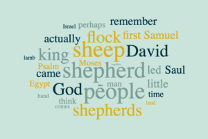 The Shepherds of Israel