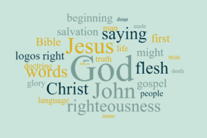 The Word Made Flesh, Christ in John's Gospel