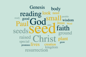 Wisdom in Creation - The Seed
