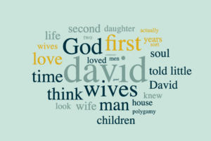The Wives of David
