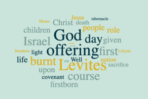Levites then and Now