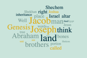 The Family Legacy of Shechem