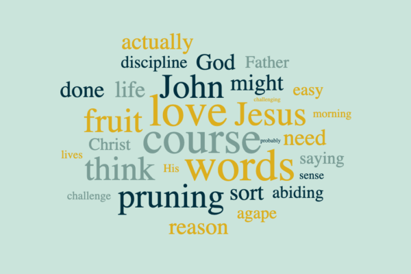 Abiding in Christ and Bearing Fruit that Glorifies God
