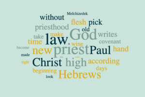 A Perfect Priesthood