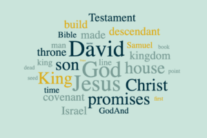 God's Promises to David - Their Importance For Us