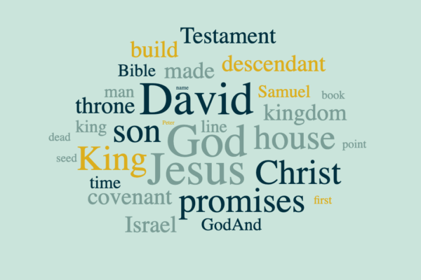 God's Promises to David - Their Importance For Us