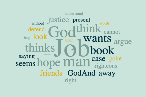 Job's Defence Case