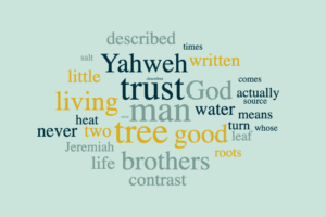 The Great Secret of Godliness: Treasure in Earthen Vessels (2025)