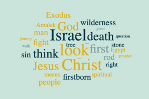 The Ecclesia in the Wilderness