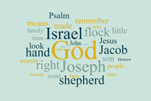 Shepherd of Israel