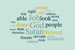 The Perfection of Job