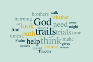 Trials and Trails of Life