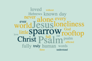 The Sparrow