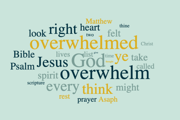 Coping with Overwhelm in Everyday Life