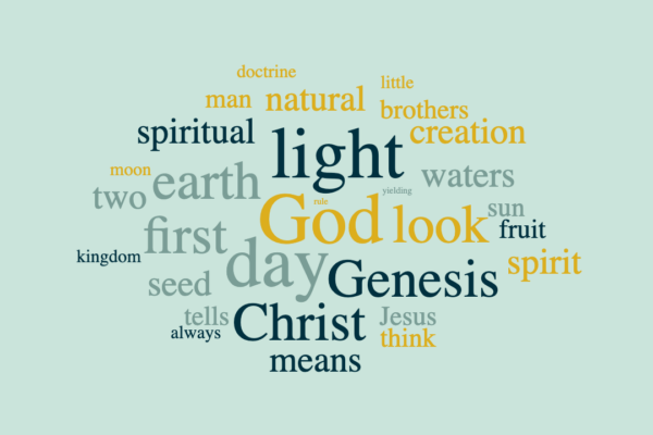 Jesus: The New Creation