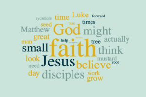 O Ye of Little Faith