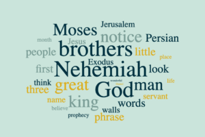 Nehemiah: Rise Up Together (2026)