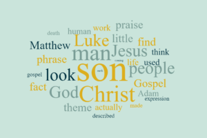 The Son of Man in the Gospel of Luke