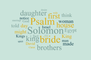 Bride of Solomon