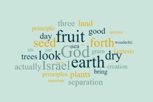 Trees, Plants and Grasses of the Bible