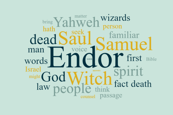 What did the Witch of Endor Really See?