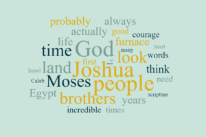 Joshua - As For Me and My House