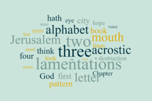 Another Look at Lamentations