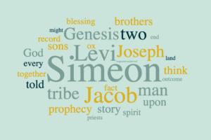 Learning to Respond Wisely to Trial - The Story of Simeon and Levi