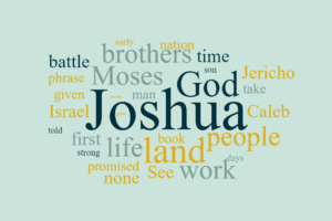 The Work of Joshua