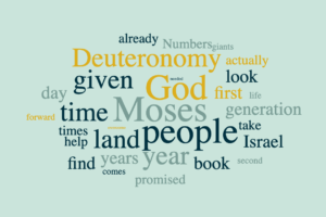 Deuteronomy - On the Edge of the Promised Land