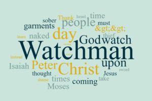 The Role of the Watchman
